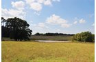Property photo 11 - 1,575+/- Acres Offered in 23 Tracts